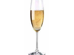 Champagne Wine Glasses